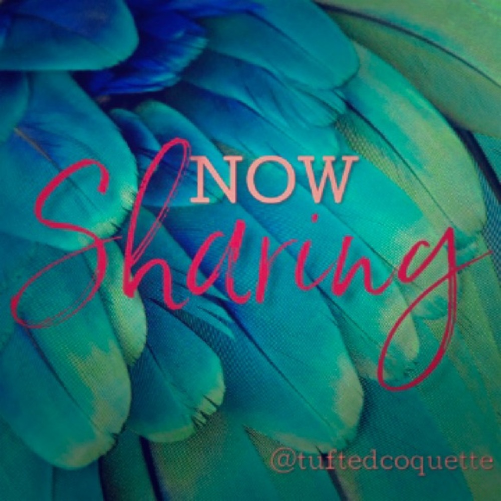 NOW SHARING: Cute Coats!